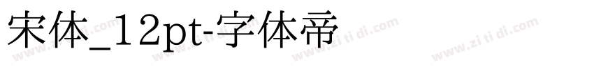宋体_12pt字体转换
