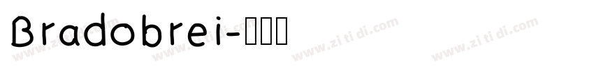 Bradobrei字体转换