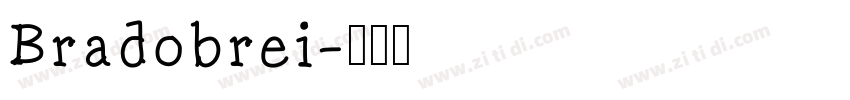 Bradobrei字体转换