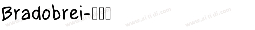 Bradobrei字体转换