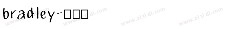 bradley字体转换