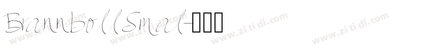 BrannbollSmal字体转换