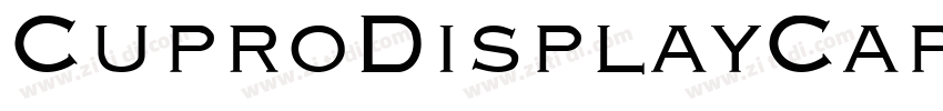 CuproDisplayCapsSSi字体转换