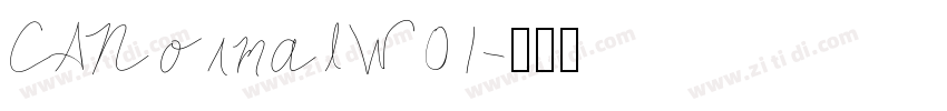 CANormalW01字体转换