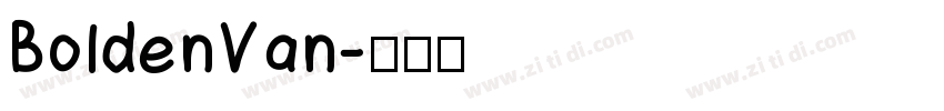 BoldenVan字体转换