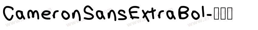 CameronSansExtraBol字体转换