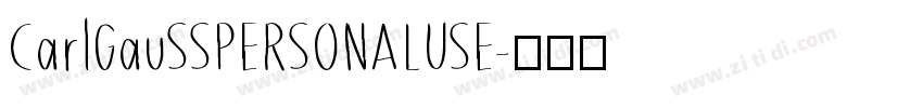 CarlGauSSPERSONALUSE字体转换