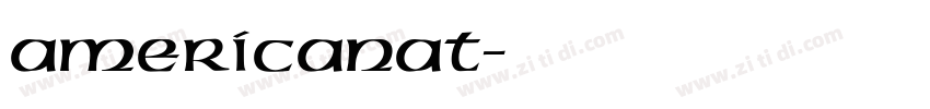 AmericanaT字体转换