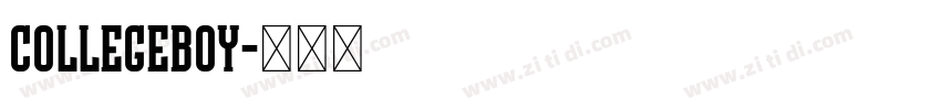CollegeBoy字体转换