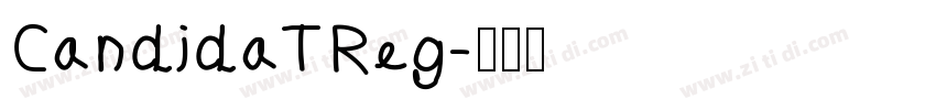 CandidaTReg字体转换