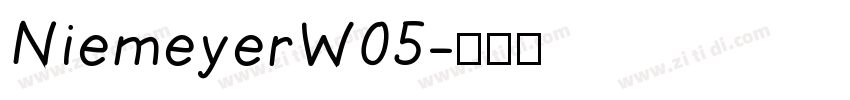 NiemeyerW05字体转换