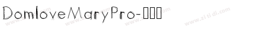 DomloveMaryPro字体转换