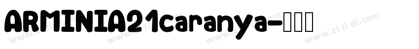 ARMINIA21caranya字体转换