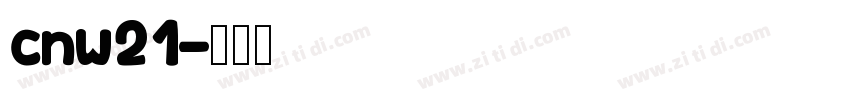 cnw21字体转换