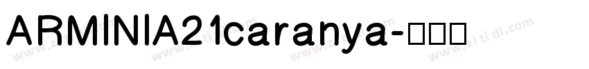 ARMINIA21caranya字体转换
