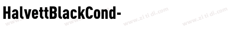 HalvettBlackCond字体转换
