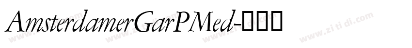AmsterdamerGarPMed字体转换