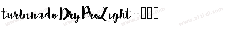 turbinadoDryProLight字体转换