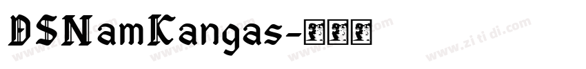 DSNamKangas字体转换