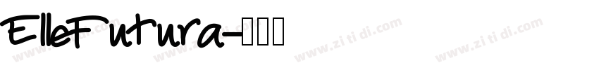 ElleFutura字体转换