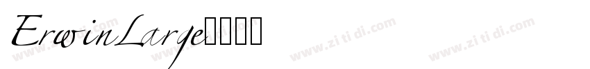 ErwinLarge字体转换