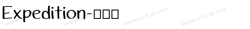 Expedition字体转换 Expedition字体转换
