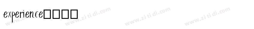 experience字体转换