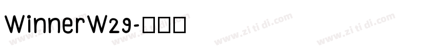WinnerW29字体转换