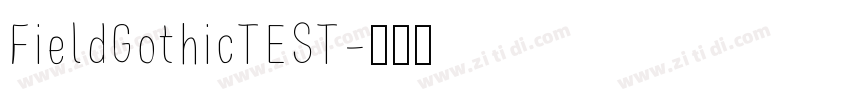 FieldGothicTEST字体转换