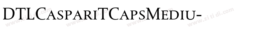 DTLCaspariTCapsMediu字体转换 DTLCaspariTCapsMediu字体转换