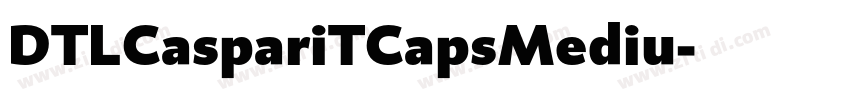 DTLCaspariTCapsMediu字体转换 DTLCaspariTCapsMediu字体转换