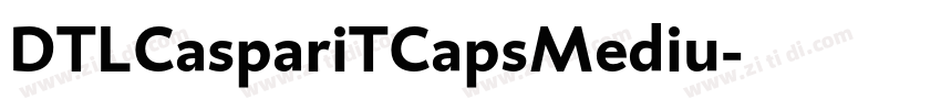 DTLCaspariTCapsMediu字体转换 DTLCaspariTCapsMediu字体转换