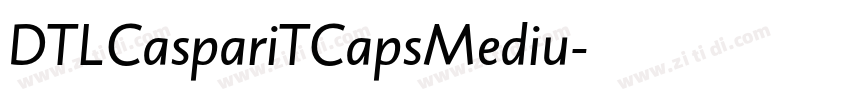 DTLCaspariTCapsMediu字体转换 DTLCaspariTCapsMediu字体转换