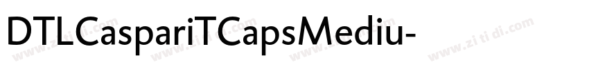 DTLCaspariTCapsMediu字体转换 DTLCaspariTCapsMediu字体转换