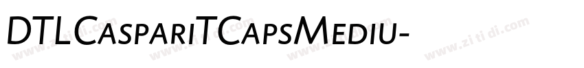 DTLCaspariTCapsMediu字体转换 DTLCaspariTCapsMediu字体转换