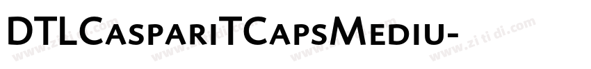 DTLCaspariTCapsMediu字体转换 DTLCaspariTCapsMediu字体转换