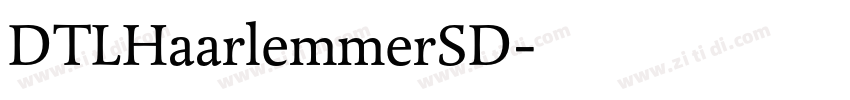 DTLHaarlemmerSD字体转换