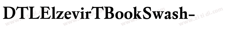 DTLElzevirTBookSwash字体转换