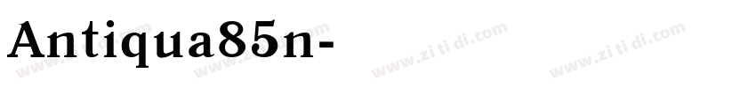 Antiqua85n字体转换