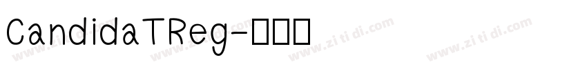 CandidaTReg字体转换