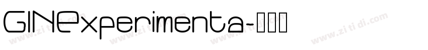 GINExperimenta字体转换