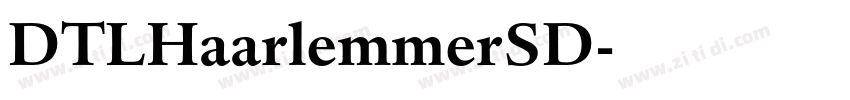 DTLHaarlemmerSD字体转换
