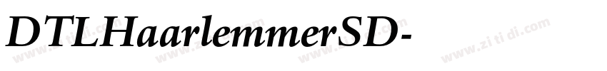 DTLHaarlemmerSD字体转换
