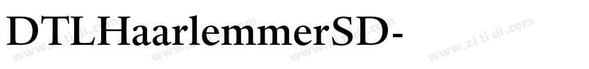 DTLHaarlemmerSD字体转换
