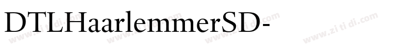 DTLHaarlemmerSD字体转换