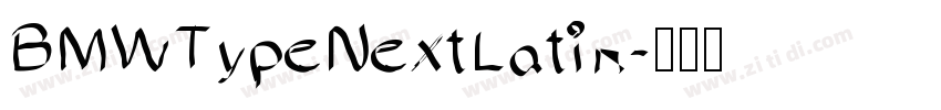 BMWTypeNextLatin字体转换