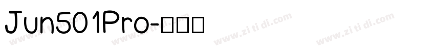 Jun501Pro字体转换