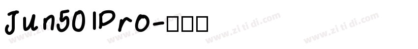 Jun501Pro字体转换