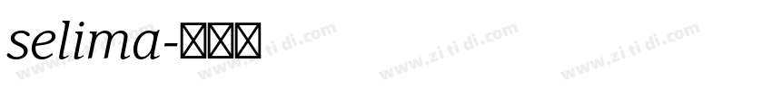 selima字体转换