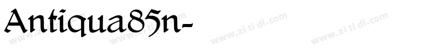Antiqua85n字体转换